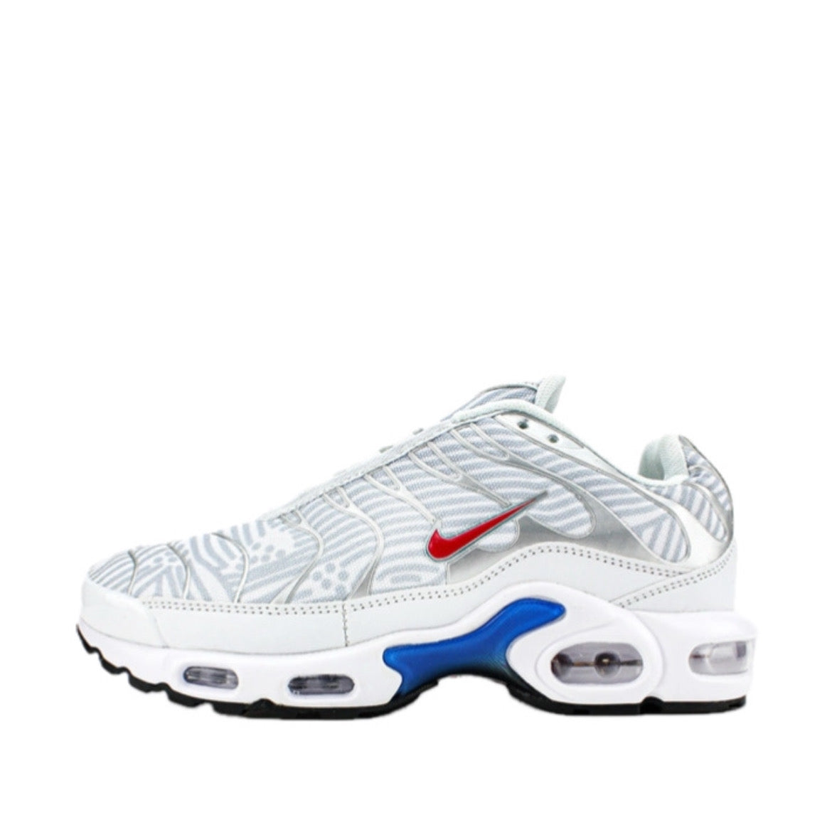 Nike Air Max Plus “Euro”
