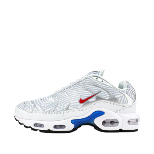 Nike Air Max Plus “Euro”