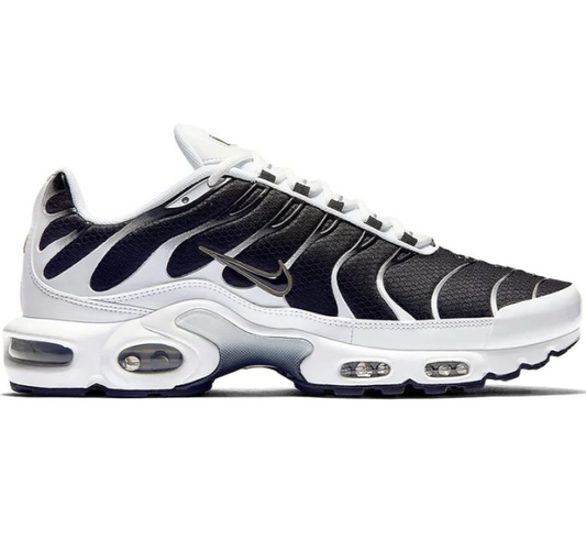 Nike air max TN 'Killer Whale'